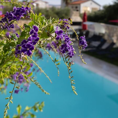 Villa Aqua Žaborić Exterior foto