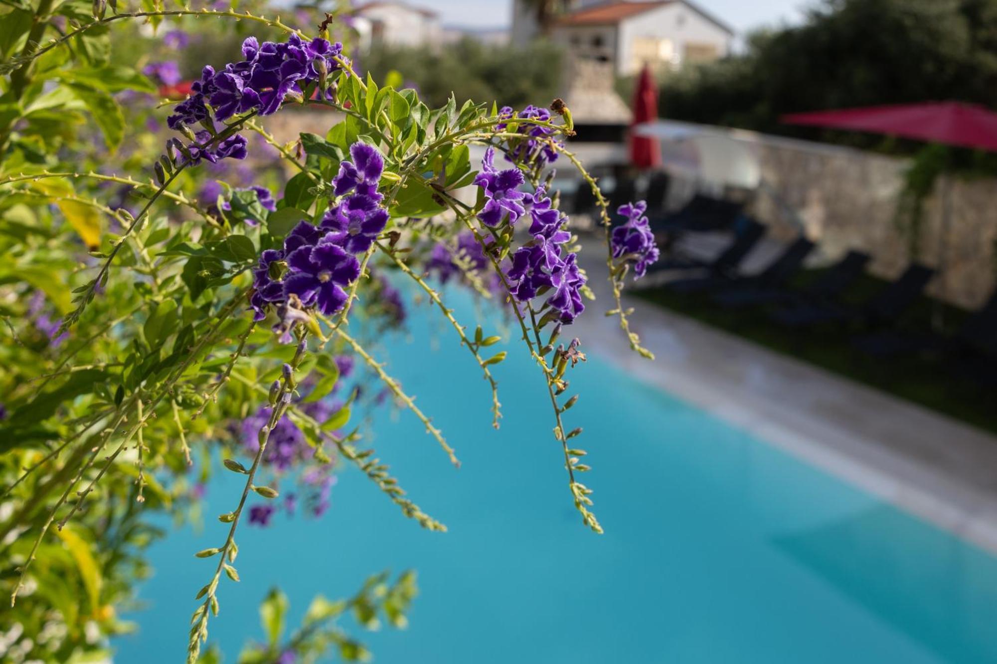 Villa Aqua Žaborić Exterior foto