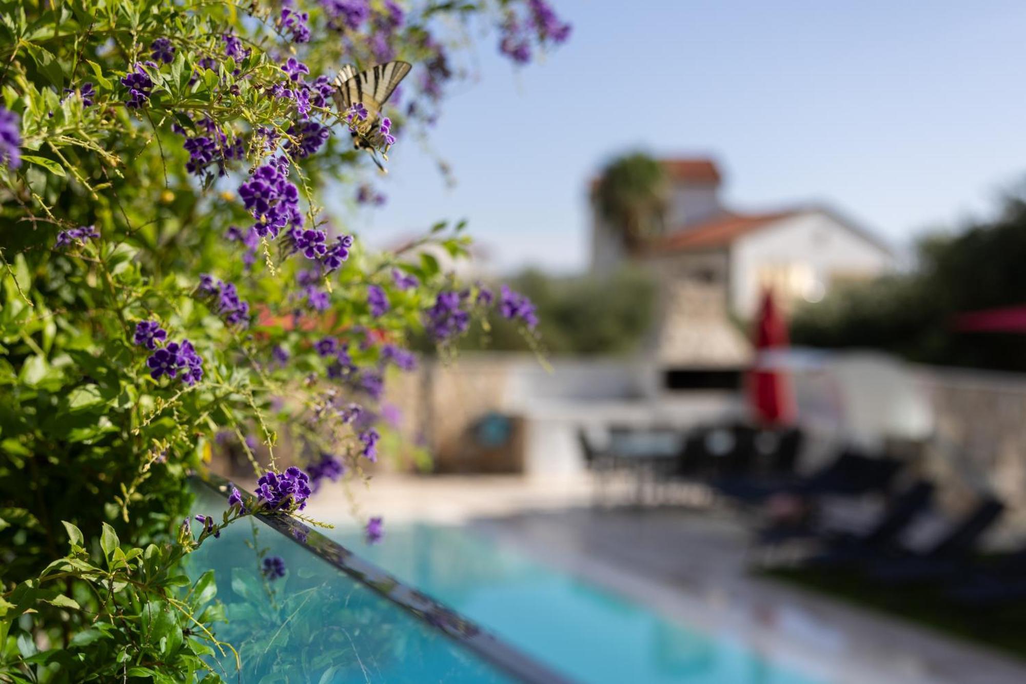 Villa Aqua Žaborić Exterior foto